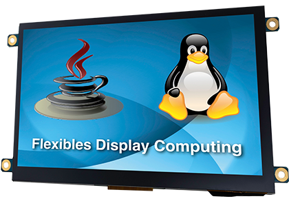 Flexible Display Computing